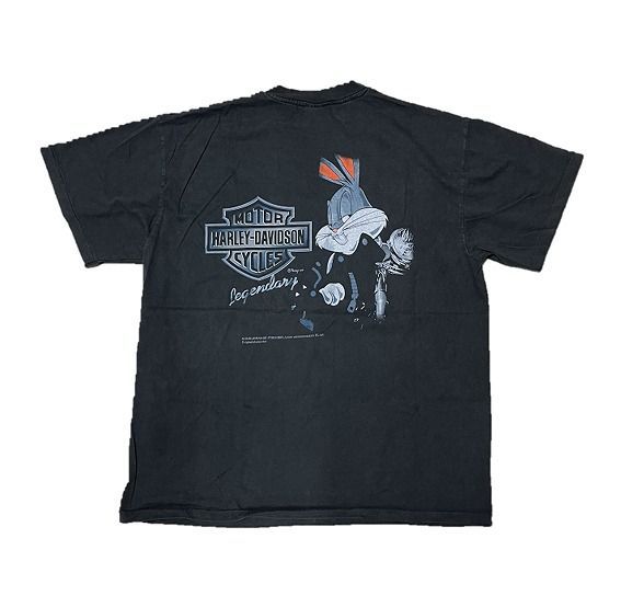 ハーレーダビッドソン×ルーニーテューンズ　コラボ　XL Harley-Davidson Looney Tunes / ハーレーダビッドソン ルーニー