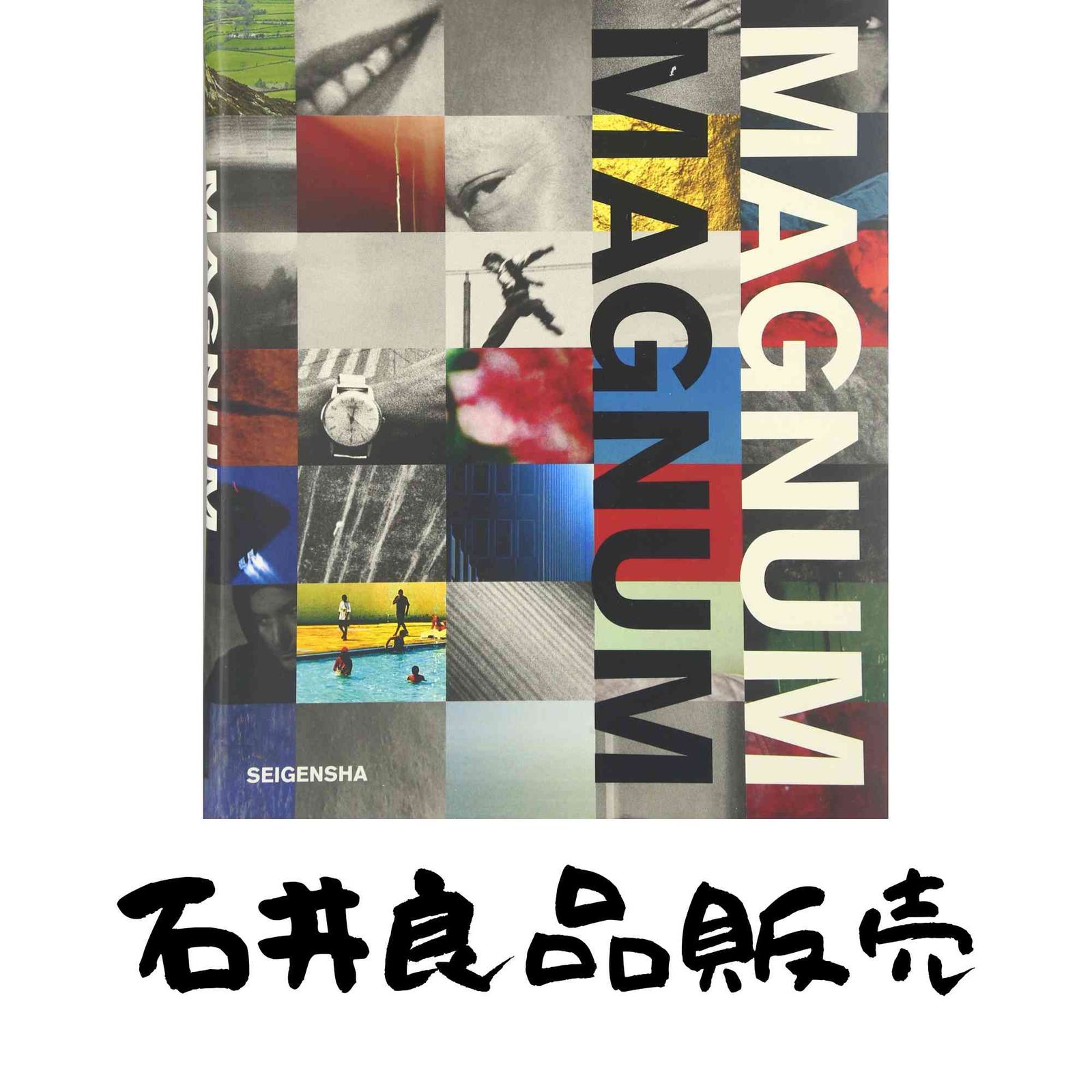 マグナム・マグナム MAGNUM コンパクトバージョン(完全日本語版