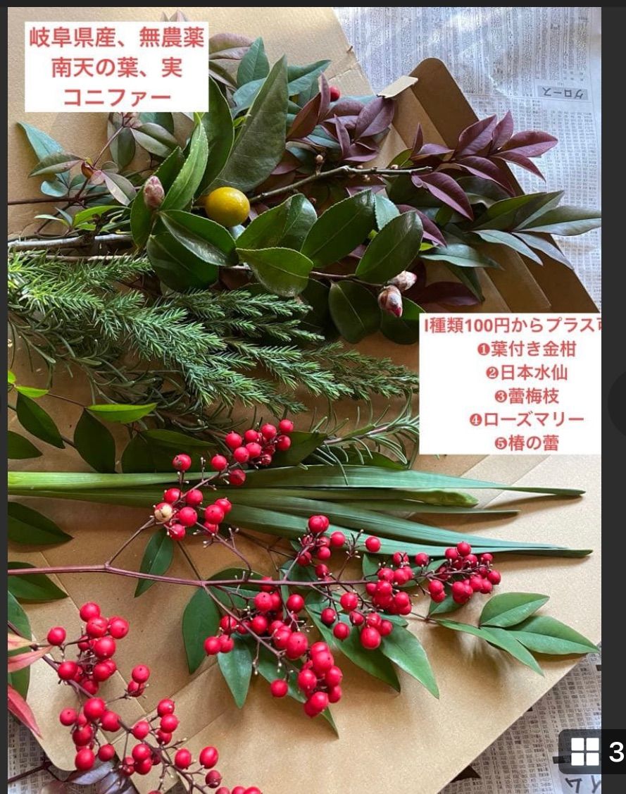 年末年始　飾り　コニファーと南天の葉 縁起、お正月飾り、岐阜産 農薬未使用、庭の南天の実、葉、コニファー