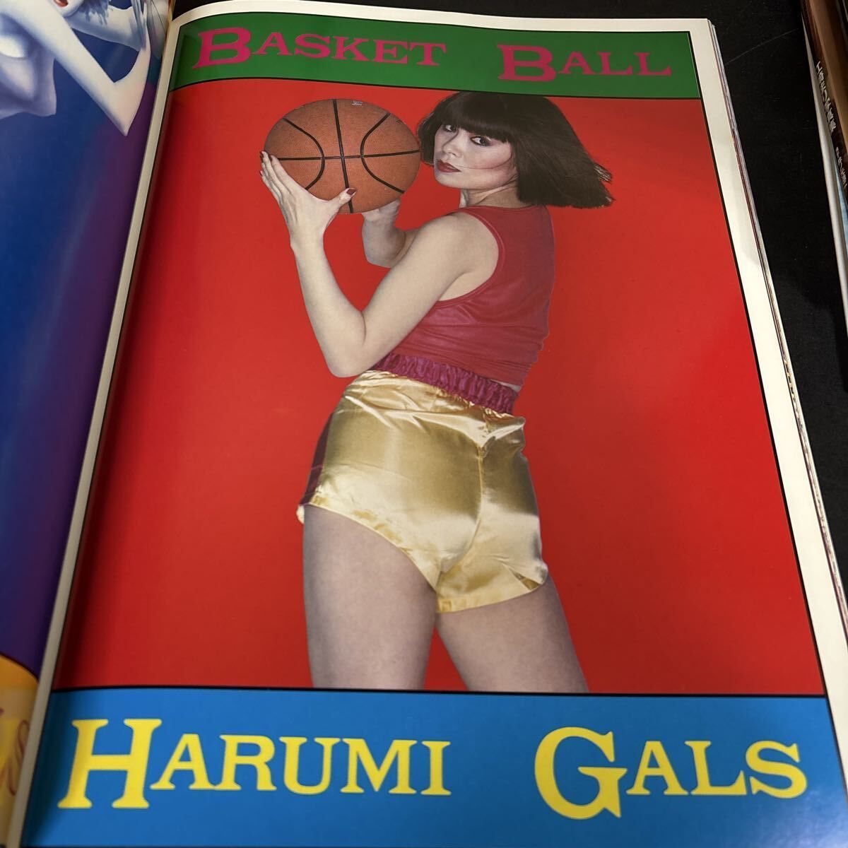 Harumi Gals PARCO VIEW2. 』山口はるみ (著) 横尾忠則 (監修) 1978年