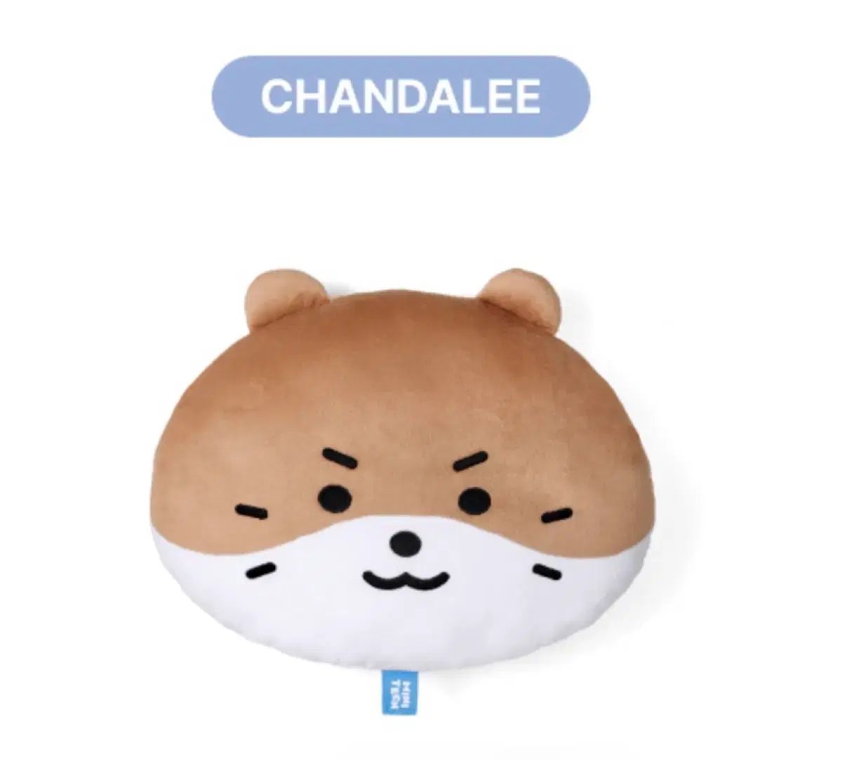 SEVENTEEN(セブンティーン・セブチ) ミニ FACE クッション ディノ(DINO