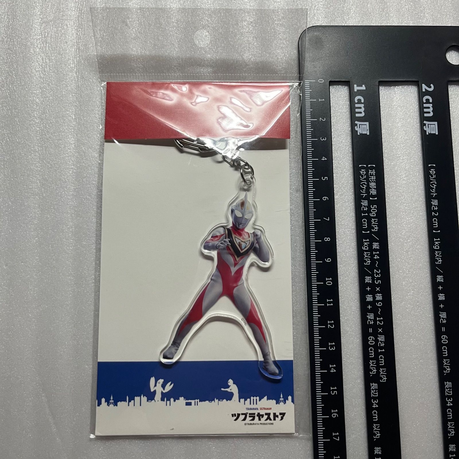 ツブコン　ウルトラマンガイア　隊員証明書　アクリルキーホルダー ツブコン ウルトラマンガイア 隊員証明書 アクリルキーホルダー