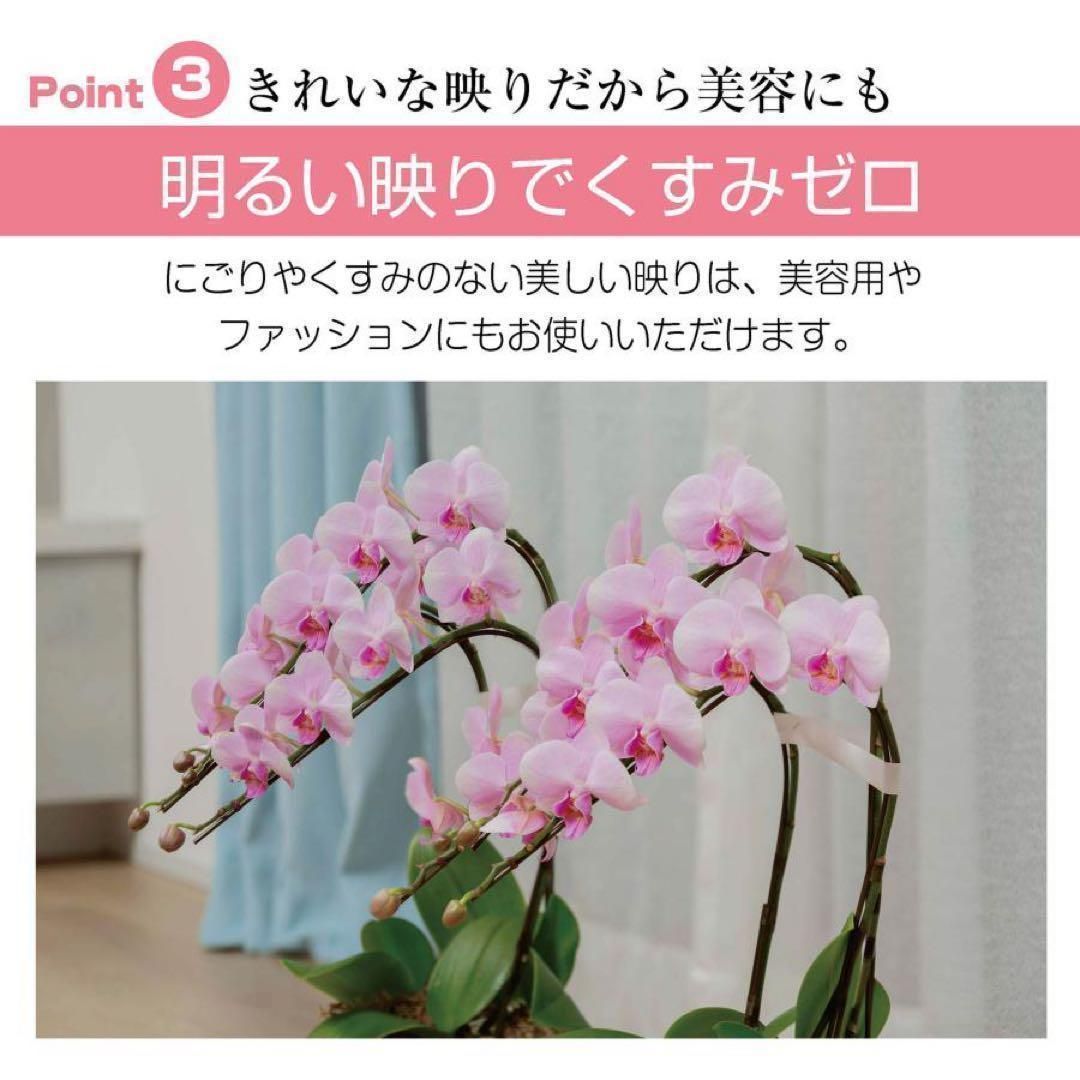 フィルムミラー 割れない 160cm 100cm キャスター 軽量 銀 2659 【公式