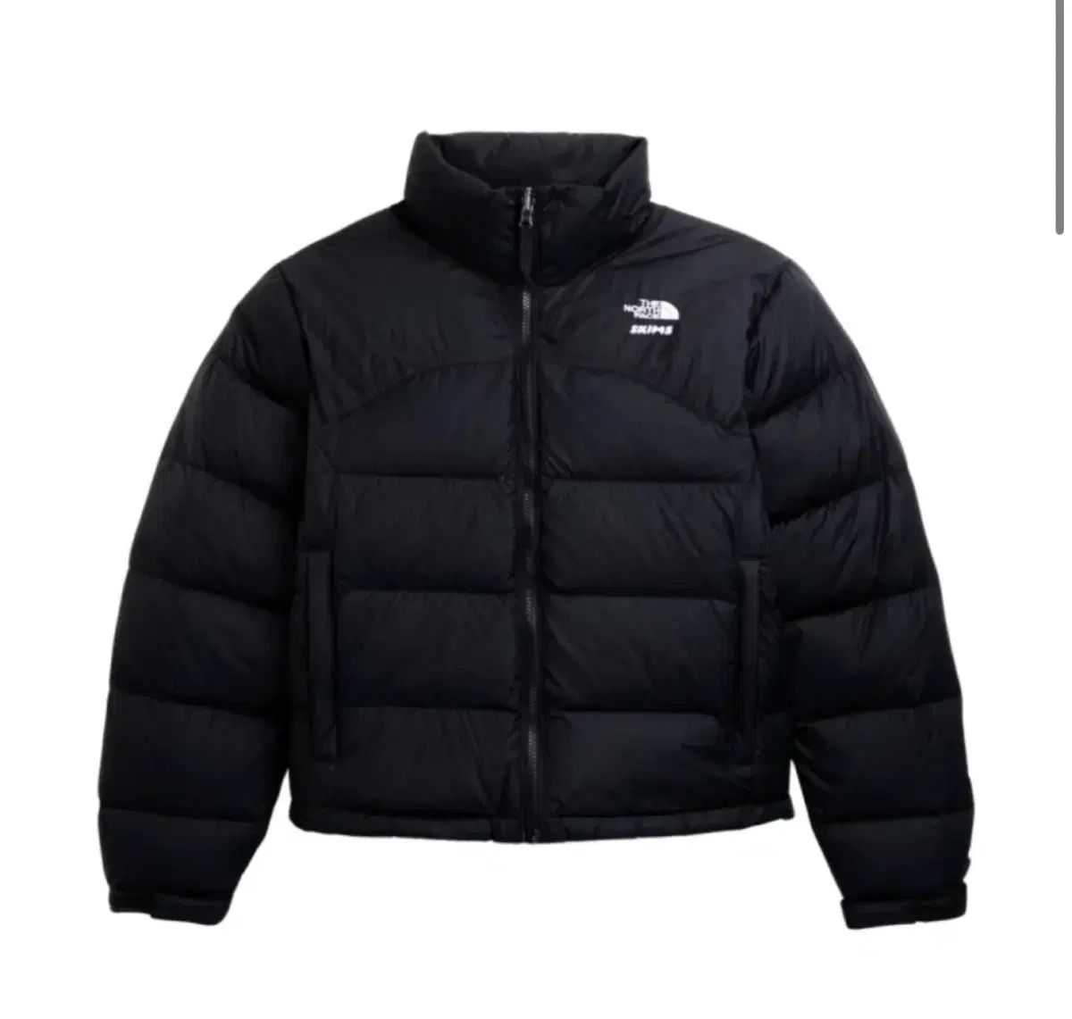 THE NORTH FACE ザノースフェイス x SKIMS 2000 レトロ ヌプシ
