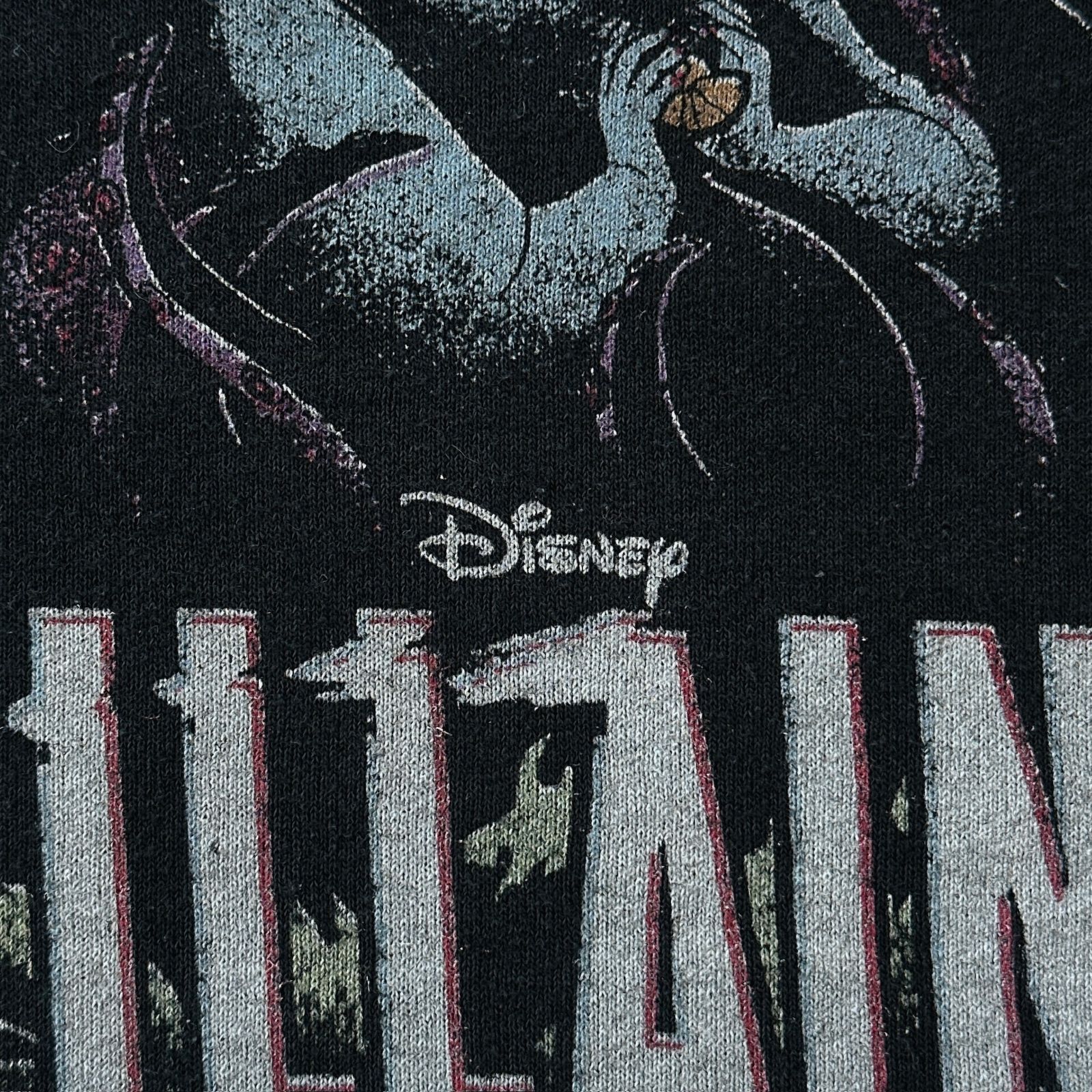 激レア】00s ディズニー ヴィランズ JERZEES スウェット 黒 S Disney