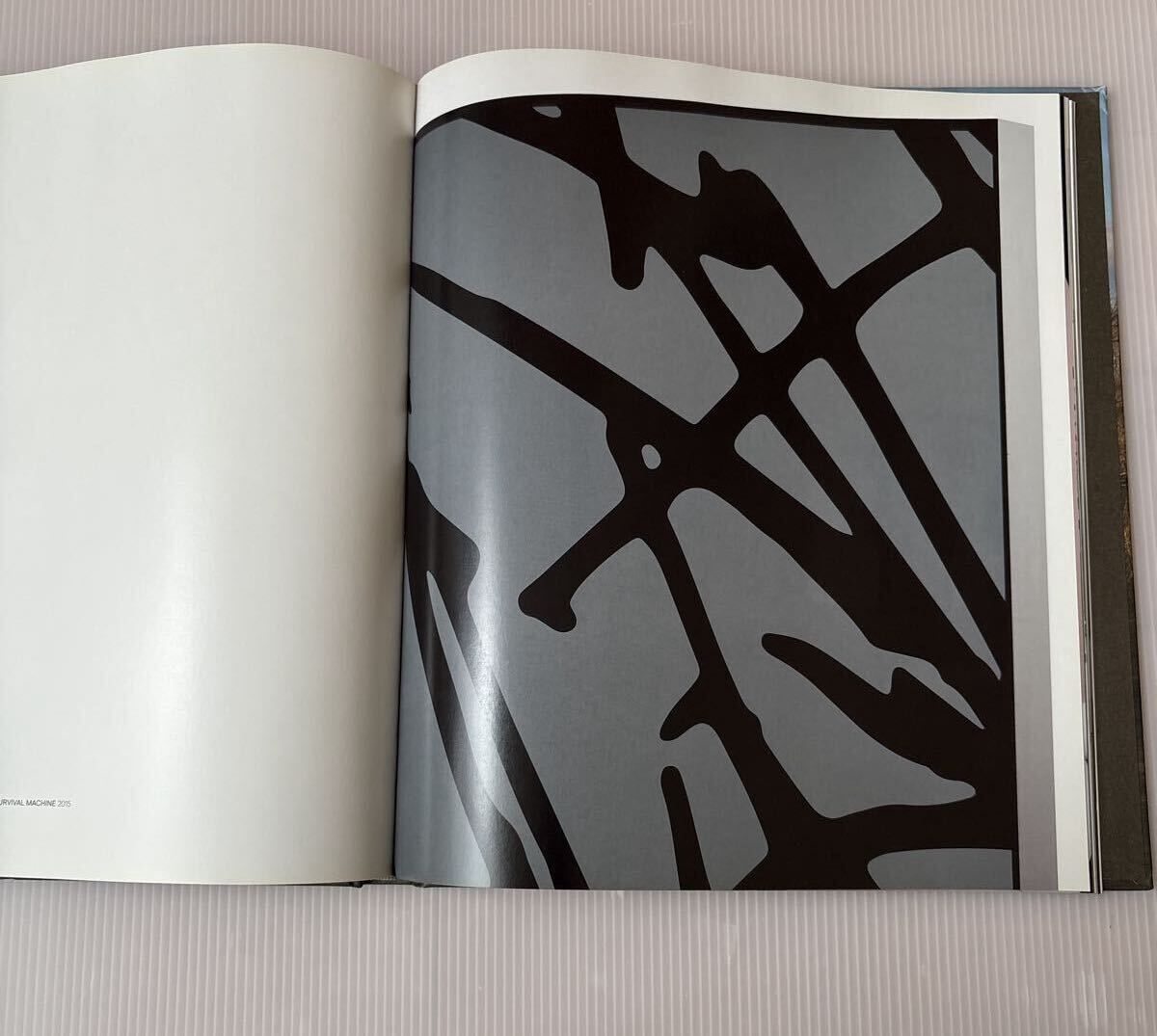 KAWS Catalogue at Yorkshire Sculpture Park 写真集 ハードカバー