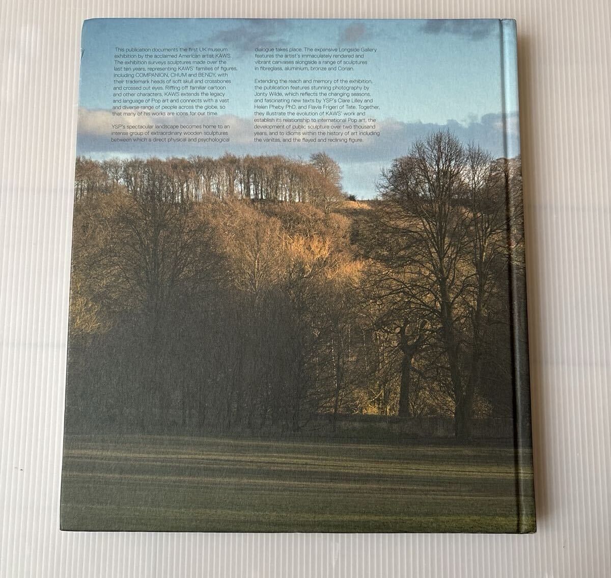 KAWS Catalogue at Yorkshire Sculpture Park 写真集 ハードカバー
