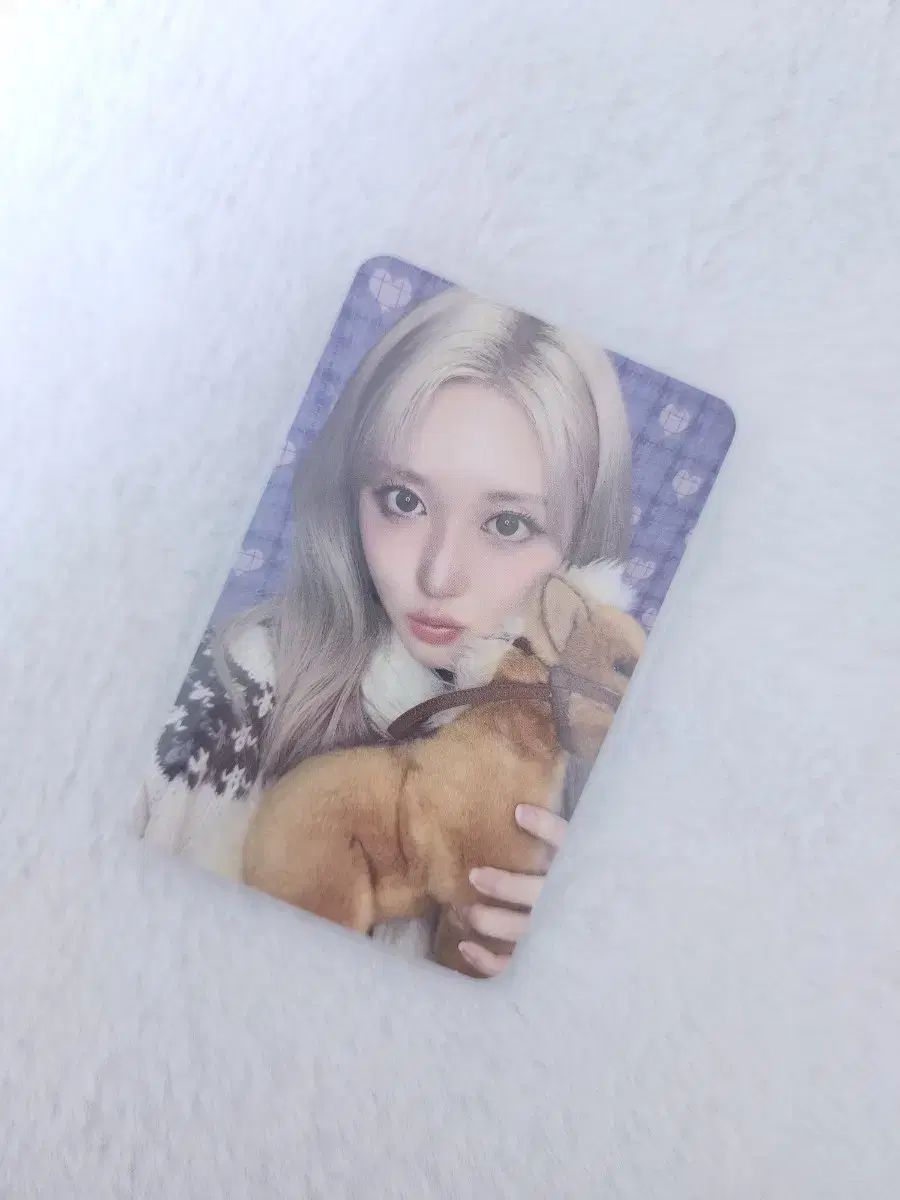 IVE（アイヴ）カウル 2026 シーグリ Starship スタシ 特典 トレカ 特典