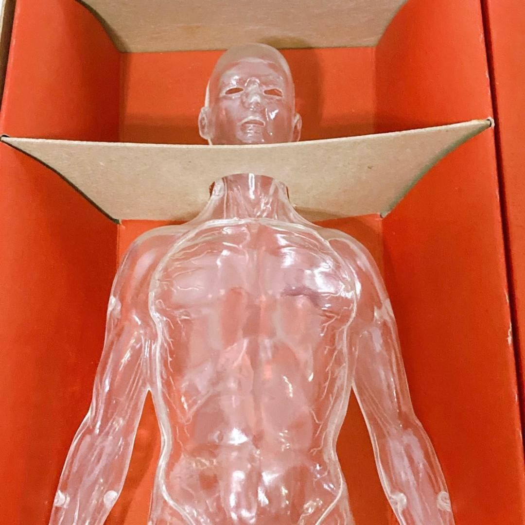 希少物 旧マルサン 人体解剖模型 未組立 当時物 - メルカリ
