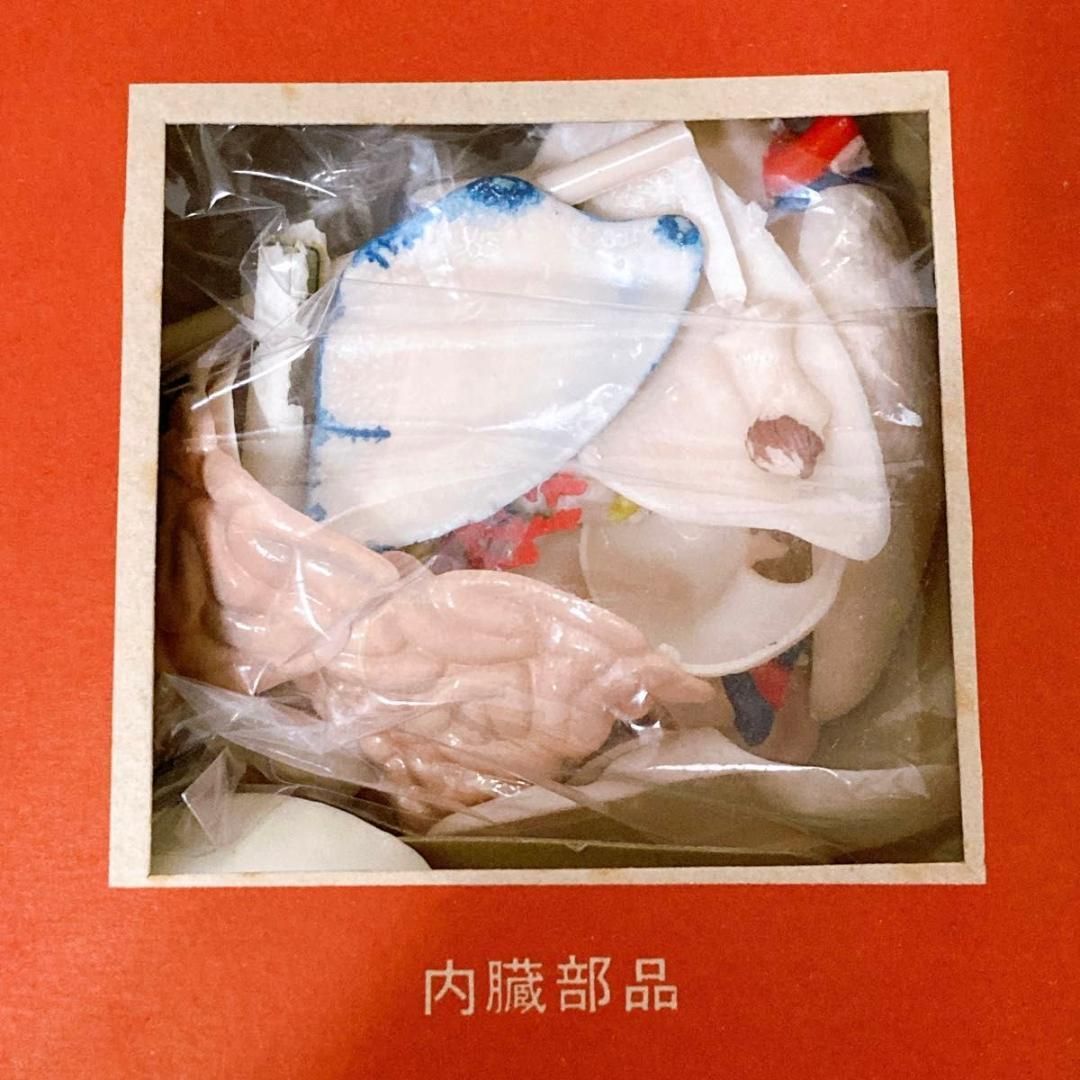 希少物 旧マルサン 人体解剖模型 未組立 当時物 - メルカリ
