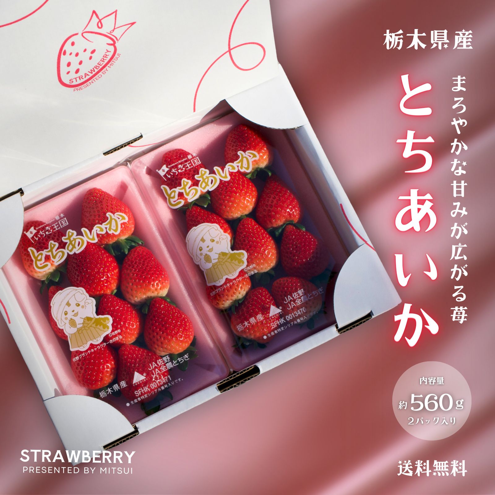 いちごと花❣️オーダー専用❣️セット JA佐野】とちあいか 約560g 栃木県産 苺 ギフト - メルカリ
