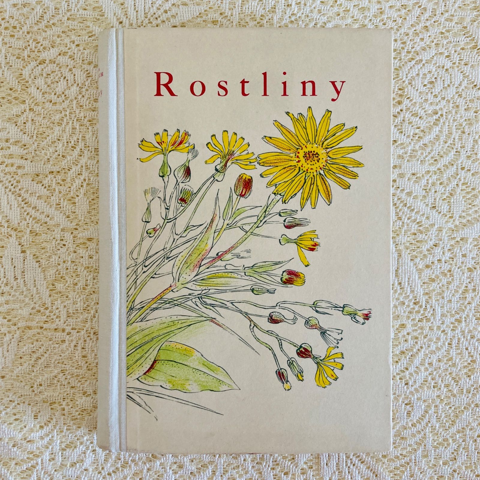 チェコの美しい植物図鑑 Rostliny 野の花 カレル・スヴォリンスキーの