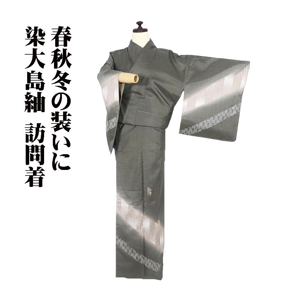 値下げ❗玉虫色着物 正絹 染大島紬 訪問着 袷 正絹 緑 暈し 刺繍 幾何模様 小格子 染 飛び縞 小