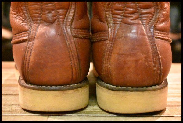 アイリッシュセッター