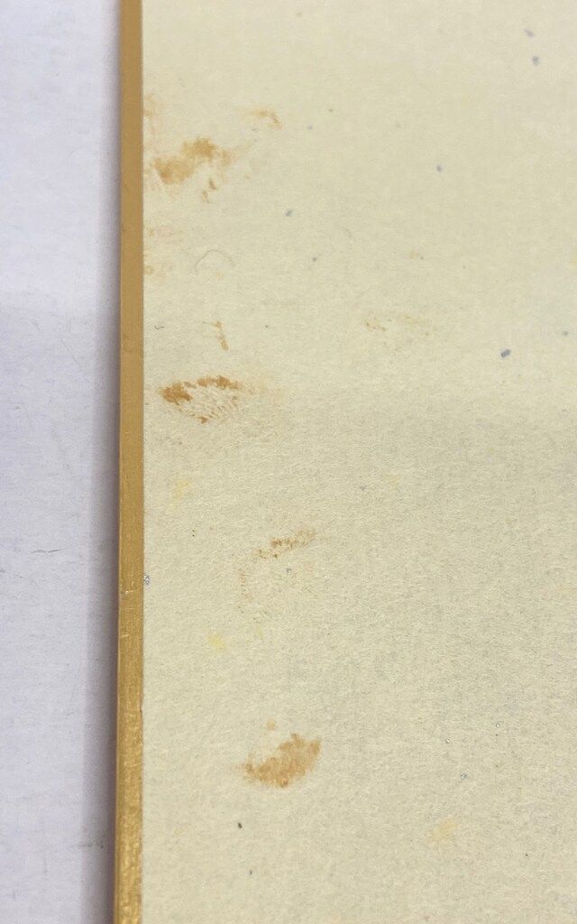 読売ジャイアンツ 後藤孝志 直筆サイン色紙(小型) - メルカリ