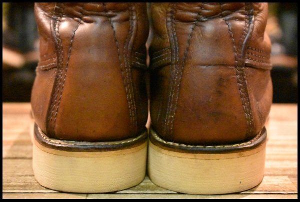 877 アイリッシュセッター