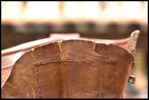 アイリッシュセッター