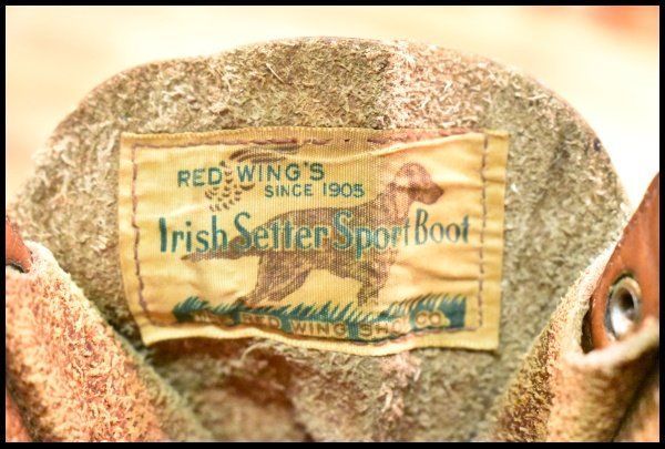 877 アイリッシュセッター