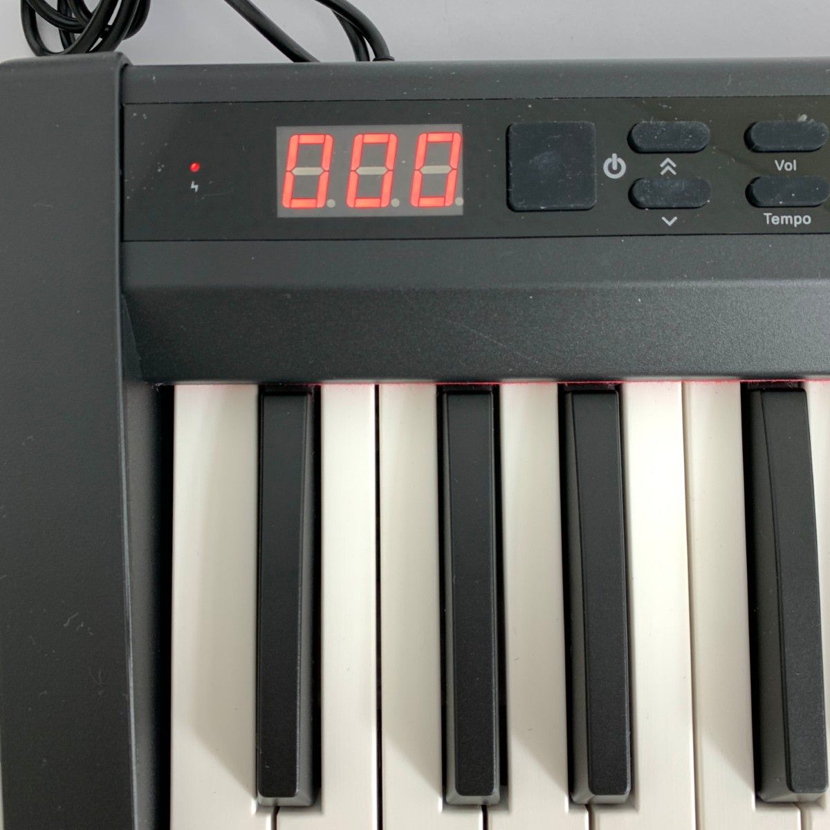 CARINA カリーナ CARINA 電子ピアノ 88鍵盤 鍵盤楽器 軽量 和洸通商