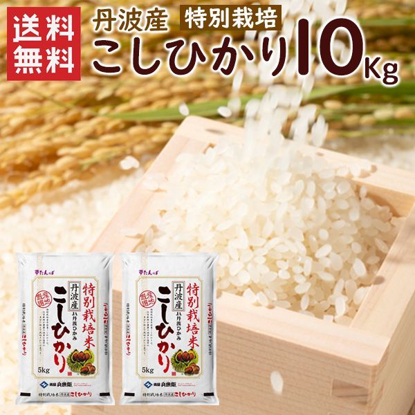 令和7年 特別栽培 丹波産（兵庫県）コシヒカリ10kg（5kg×2袋）送料無料