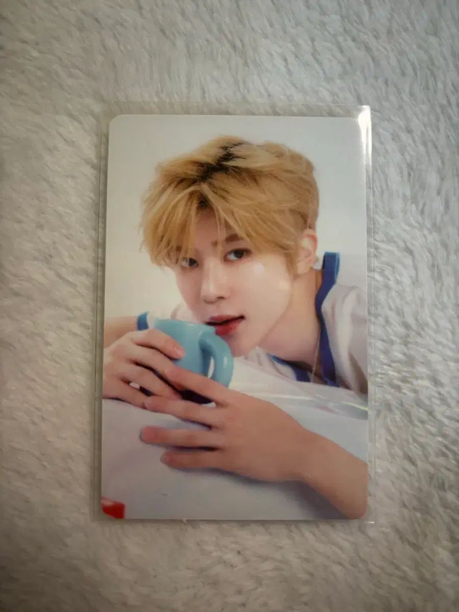 NCT WISH エヌウィッシュ シオン 2025シーグリ シーズングリーティング