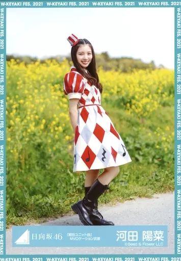 日向坂46 生写真　河田陽菜　過去衣装　まとめ売り 日向坂46 生写真 河田陽菜 過去衣装 48種フルコンプ - メルカリ