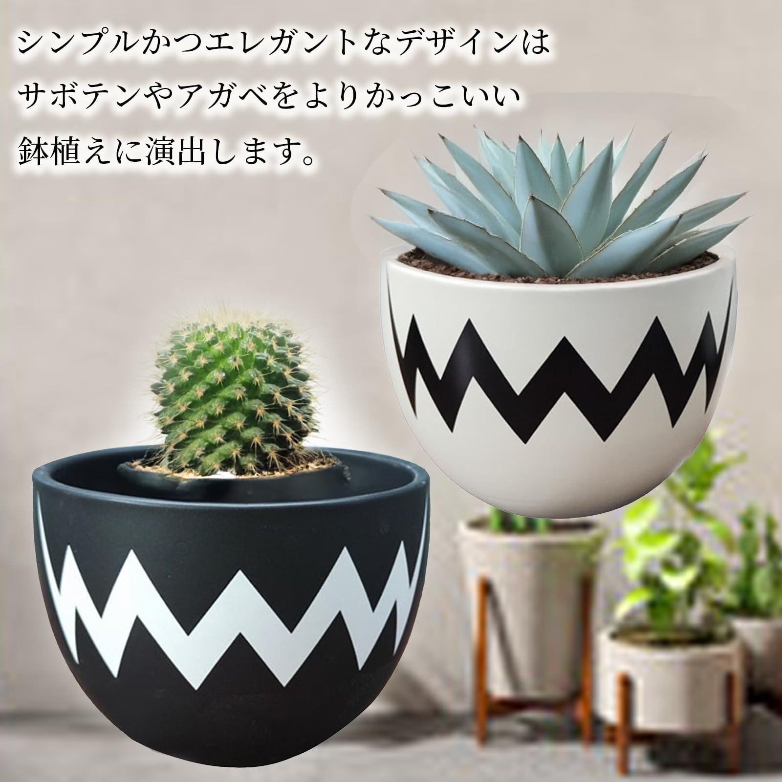 Hyack アガベ 鉢 陶磁鉢 塊根 陶器 4号 植木鉢 盆栽鉢 陶器鉢 塊茎