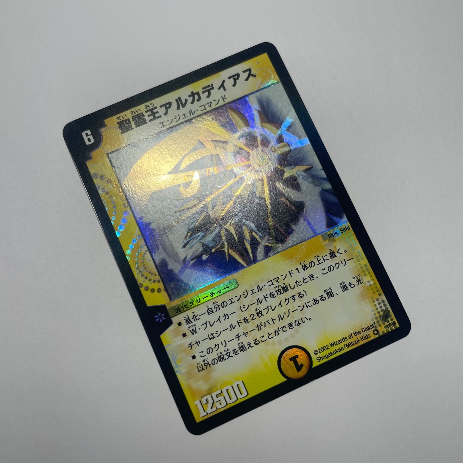 デュエルマスターズ 聖霊王アルカディアス 管理No1189 ベリーレア