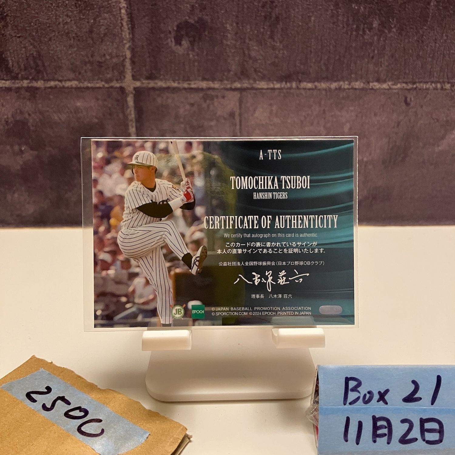 2024 EPOCH NPB 坪井智哉 22/44 直筆サインカード 阪神タイガース