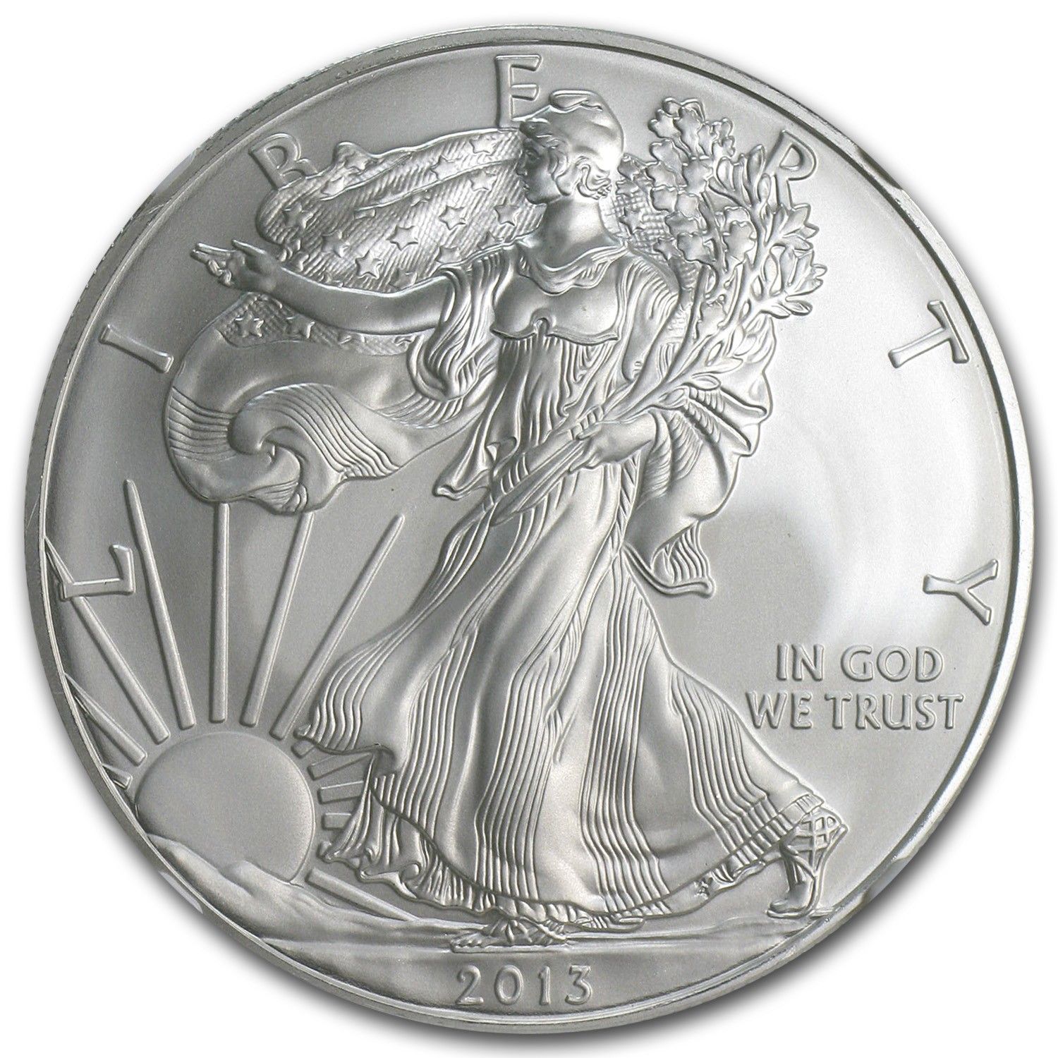 2013年 (S) アメリカン シルバー イーグル MS-70 NGC (ファースト