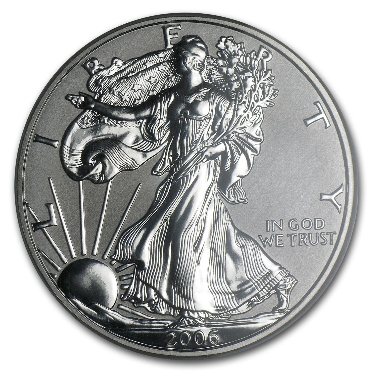 2006-P リバースプルーフ シルバーイーグル PF-69 NGC (20周年記念