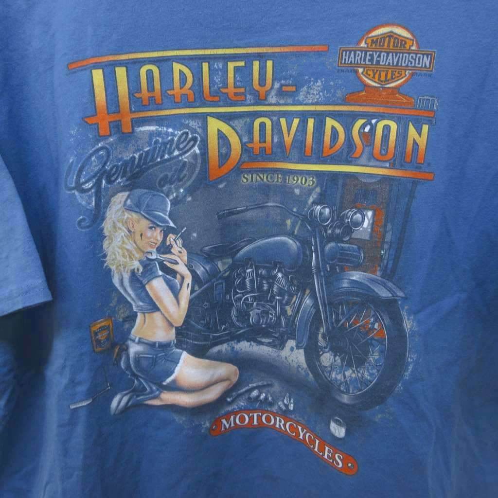 ハーレーダビッドソン HARLEY DAVIDSON × Hanes BEEFY-T 00s モーター
