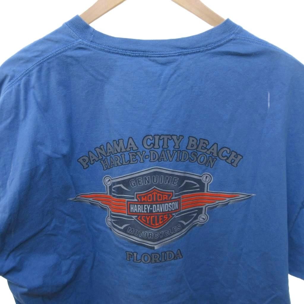 ハーレーダビッドソン HARLEY DAVIDSON × Hanes BEEFY-T 00s モーター