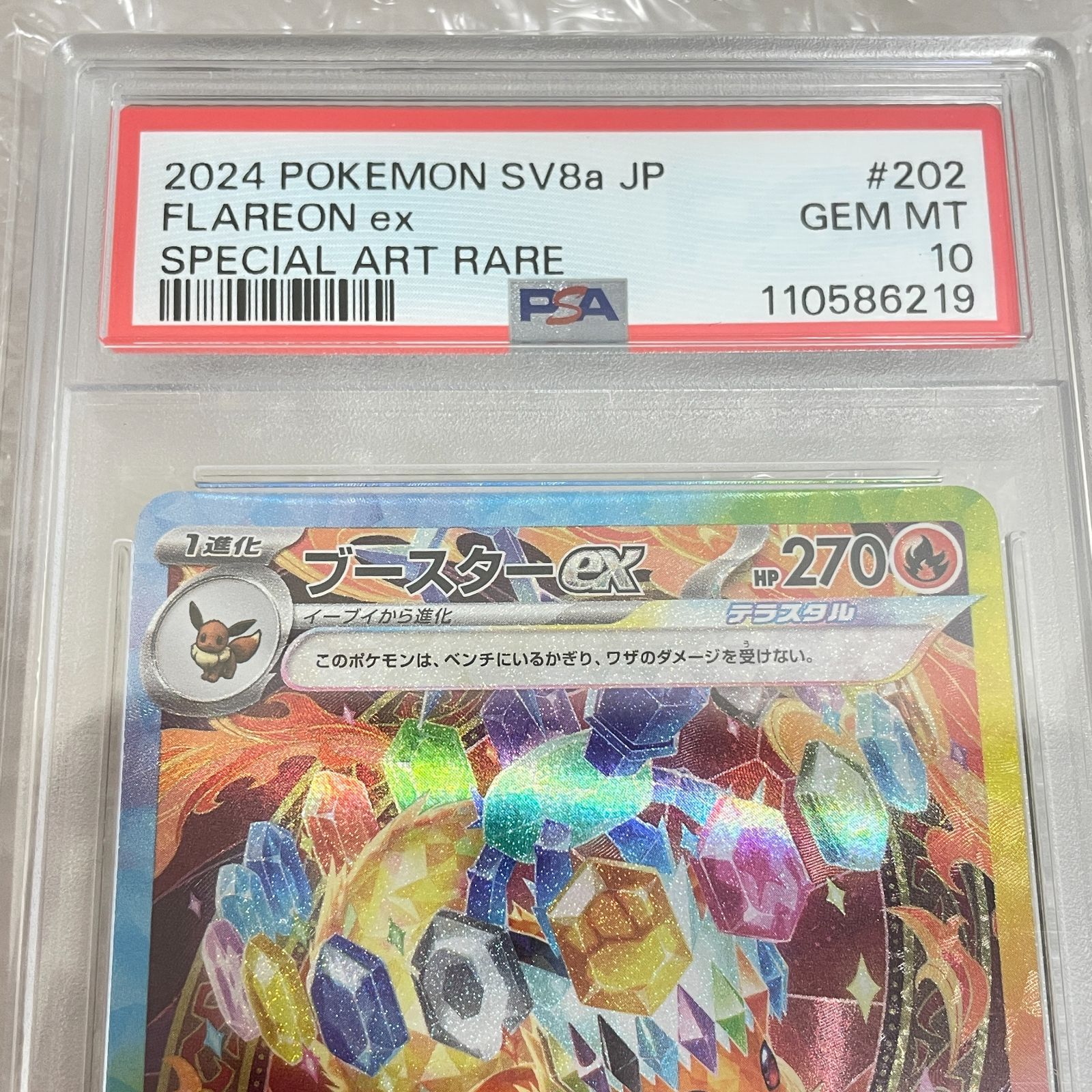 【PSA10】ポケモンカード ブースターex SAR テラスタルフェスex PSA10]ブースターex SAR テラスタルフェスex 202/187 【公式通販】
