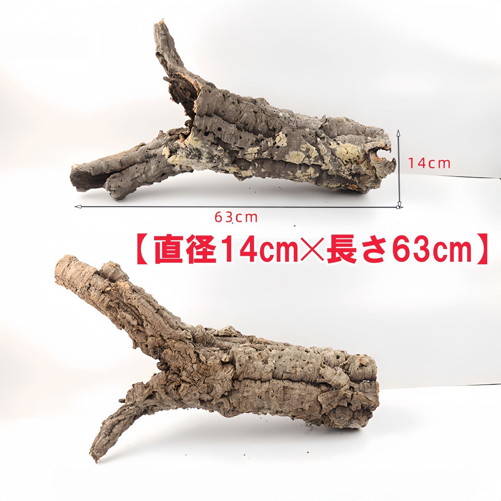 SD1010 ポルトガル産 キャノンコルク コルク樹皮コルク板　バージンコルク SD1010 ポルトガル産 キャノンコルク コルク樹皮コルク板 バージンコルク