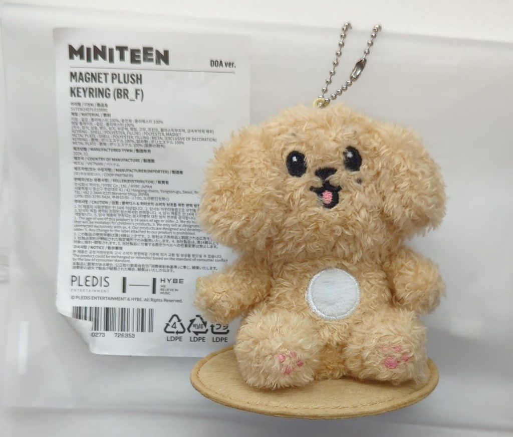 MINITEEN MAGNET PLUSH KEYRING ドギョム SEVENTEEN MINITEEN ドア DOA
