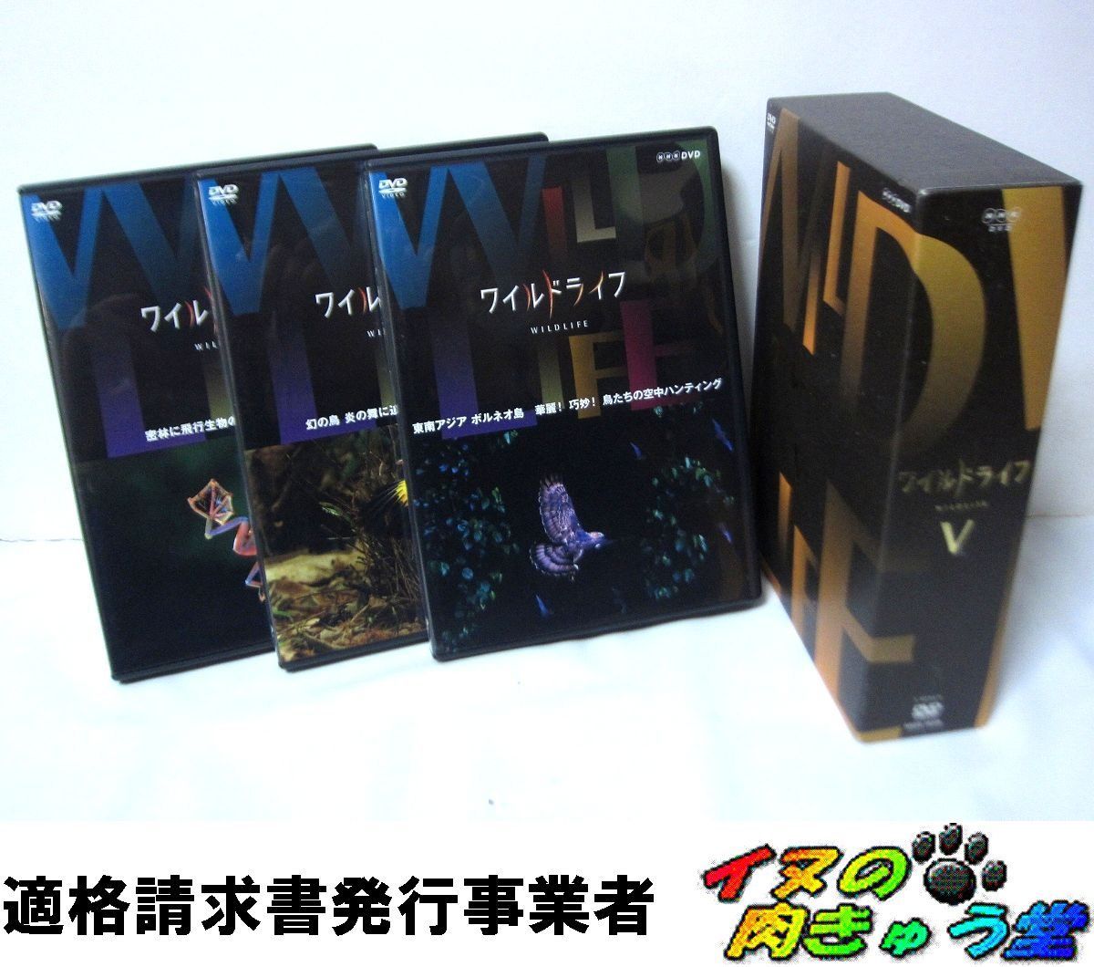 ワイルドライフ DVD-BOX V (5) - メルカリ