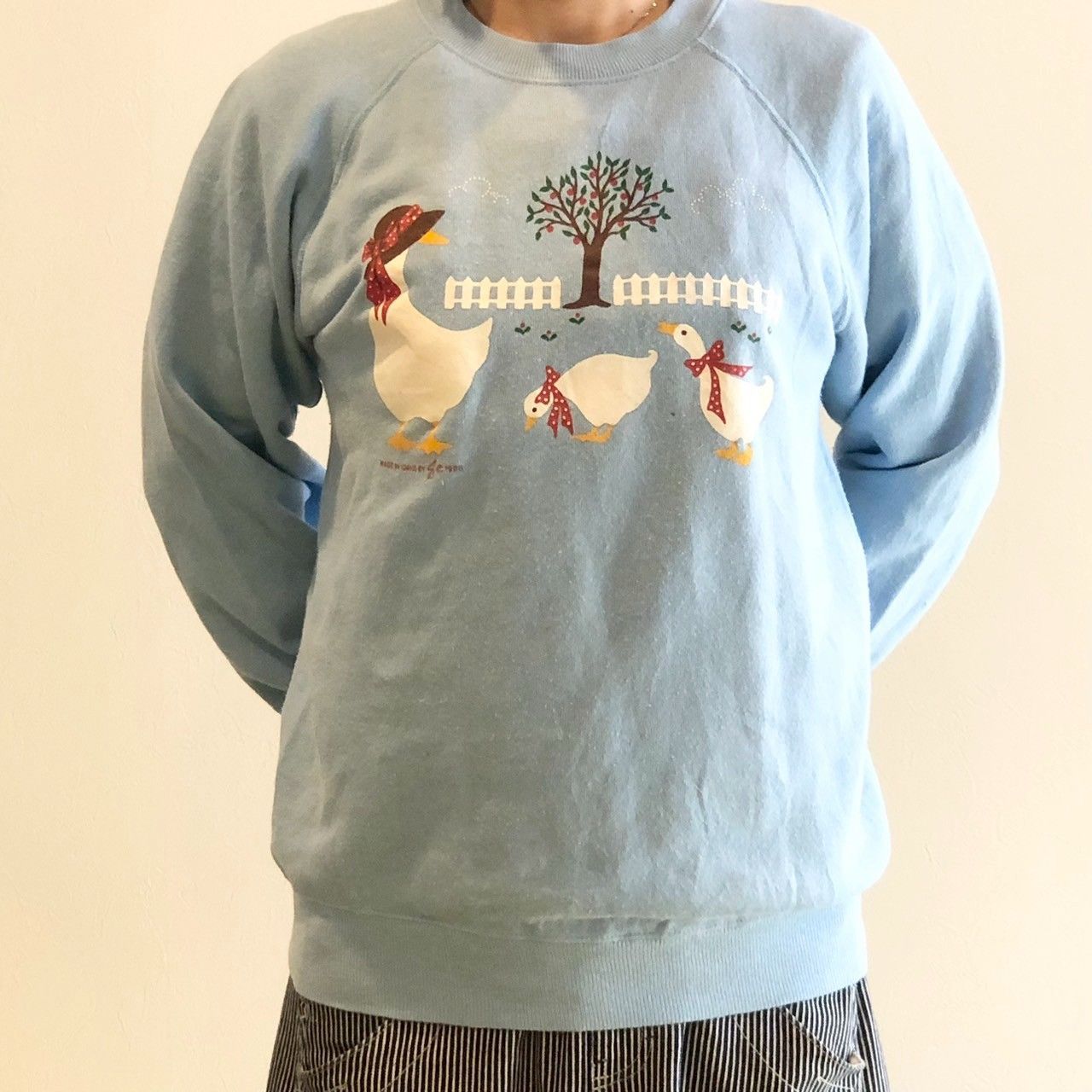 Hanes ヘインズボディ MADE IN IDAHO ダックスプリントスウェット ヴィンテージ USA M 251216