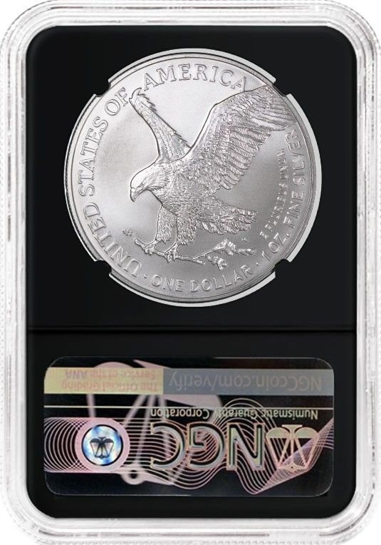 2022年 1ドル 1オンス シルバー アメリカンイーグル NGC MS70 デビッド