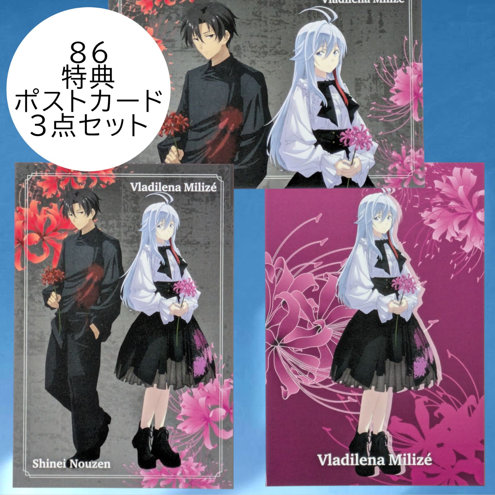 送料無料 24時間以内発送 未使用 3点セット レーナ シン 特典ポスト