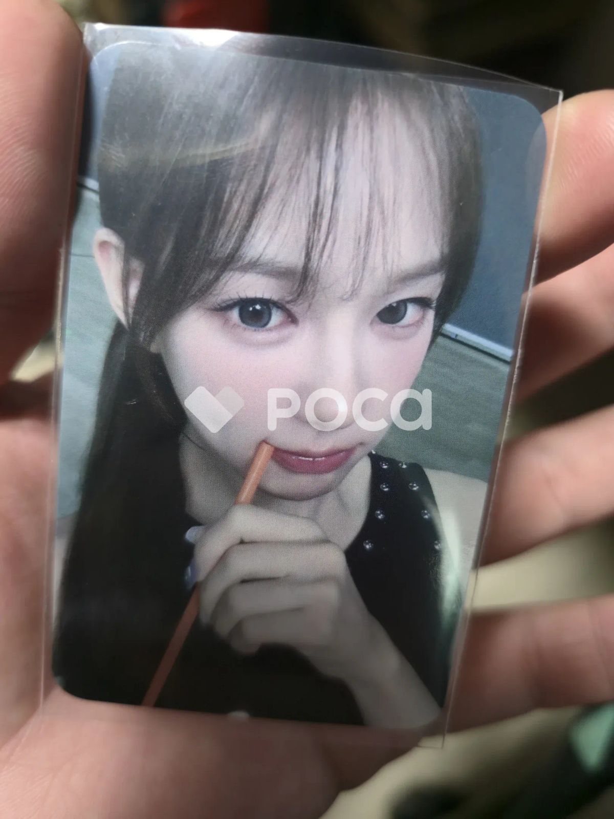 izna フーディー　ソウル　ファンコン トレカサラン 本国 フーディー新品付き izna ユサラン 2025 izna 1st FAN-CON [Not Just Pretty] naya ZONE