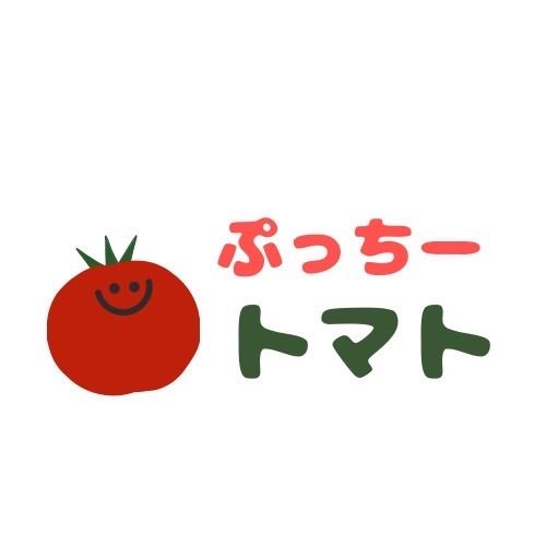 ミニトマト 12キロ 野菜 熊本 おやつ 弁当 おかず ミネラル リコピン
