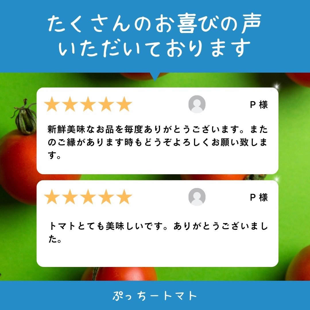 ミニトマト 12キロ 野菜 熊本 おやつ 弁当 おかず ミネラル リコピン
