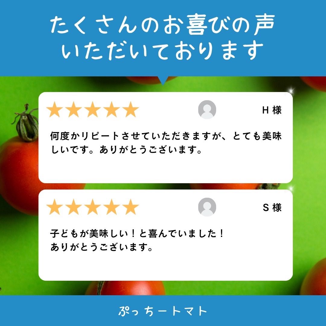 ミニトマト 12キロ 野菜 熊本 おやつ 弁当 おかず ミネラル リコピン