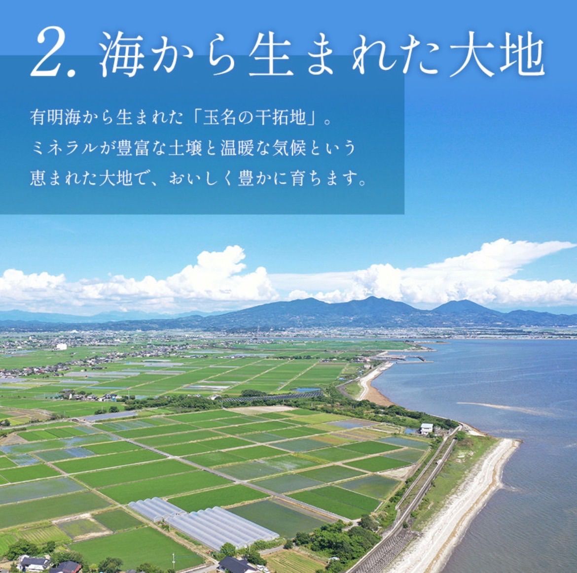 ミニトマト 12キロ 野菜 熊本 おやつ 弁当 おかず ミネラル リコピン