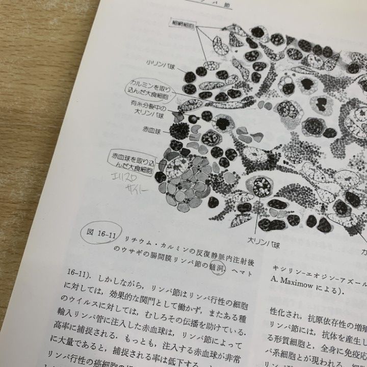 □01)【1点限り!】獣医学などの本 まとめ売り15冊大量セット/家畜臨床