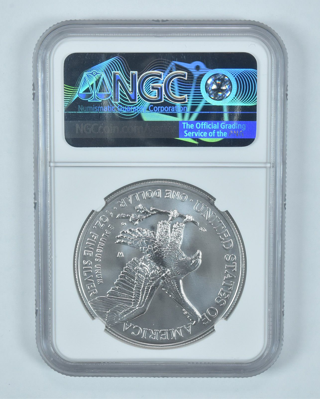 2021-W バーニッシュドシルバーイーグルタイプ2 アーリーリリース MS70