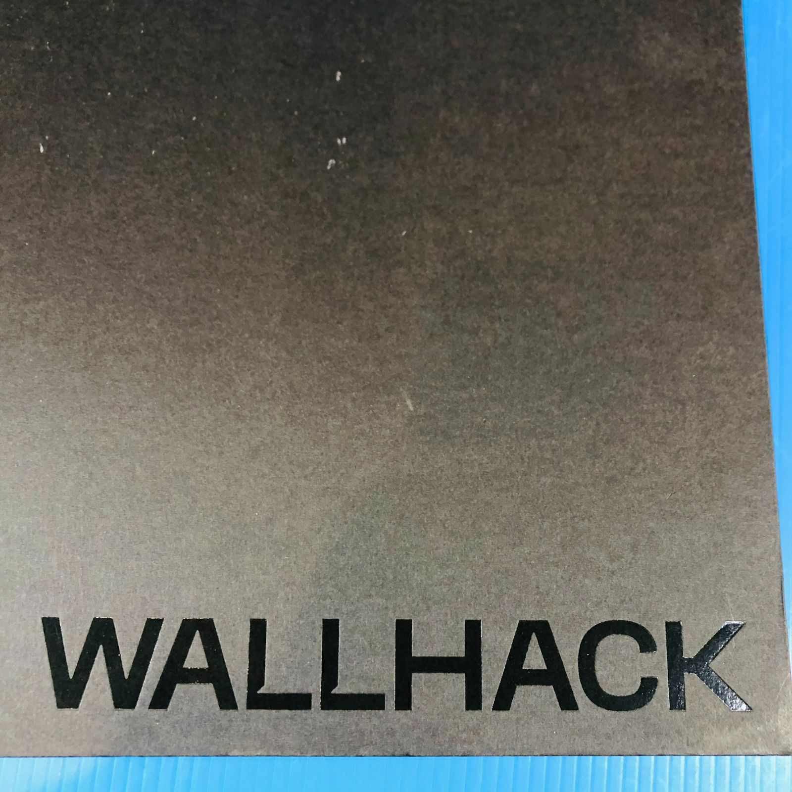 Wallhack FRENZY SORA（限定版）No0456 WALLHACK 【公式通販】