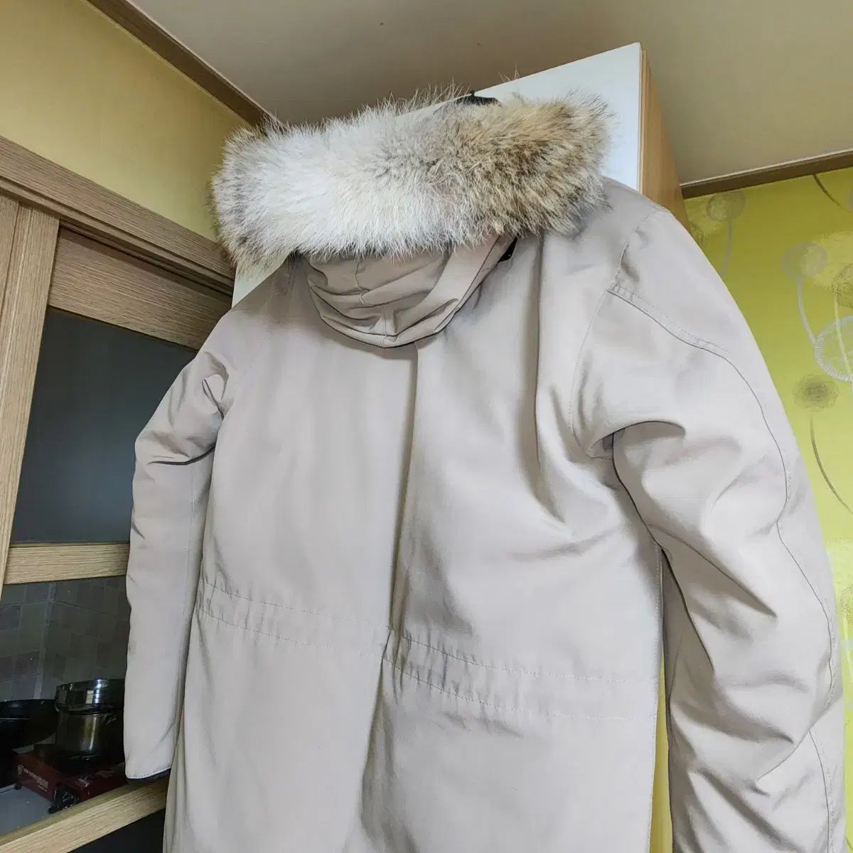 Canada Goose(カナダグース) エクスペディション ダウン ベージュ