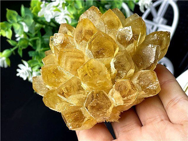 現品のみ❗️約3か月間（4か月）徹底浄化 メルカリ初出品 メルカリ
